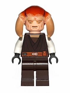 Saesee Tiin - Dark Brown Robe, White Arms, Large Eyes